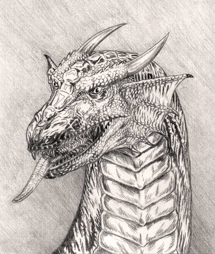 Dragon Drawing 1