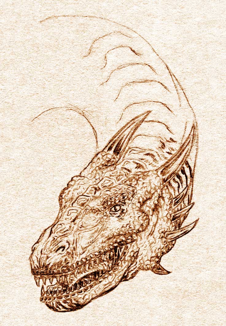 Dragon Drawing 2